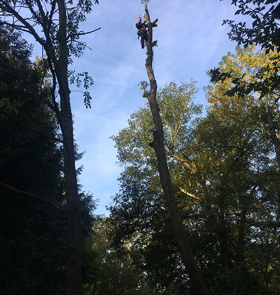 Nos réalisations  à Limetz-Villez dans les Yvelines