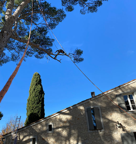 Nos réalisations  à Limetz-Villez dans les Yvelines