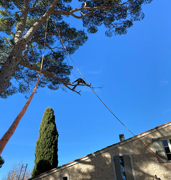 Nos réalisations  à Limetz-Villez dans les Yvelines