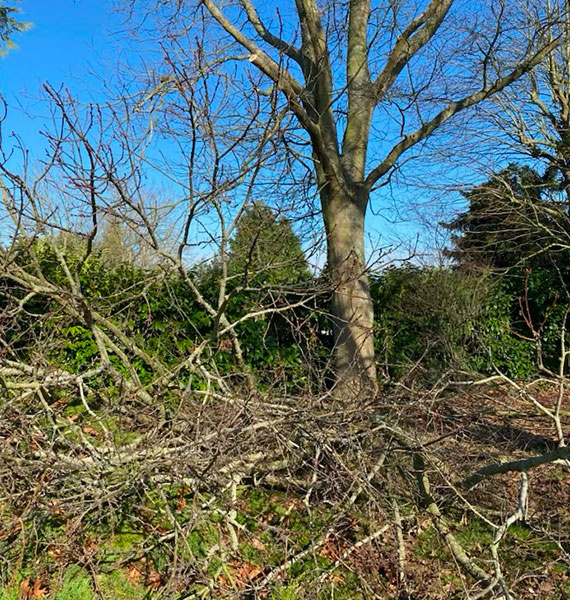 Nos réalisations  à Limetz-Villez dans les Yvelines