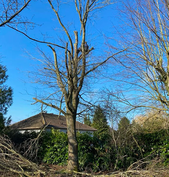 Nos réalisations  à Limetz-Villez dans les Yvelines