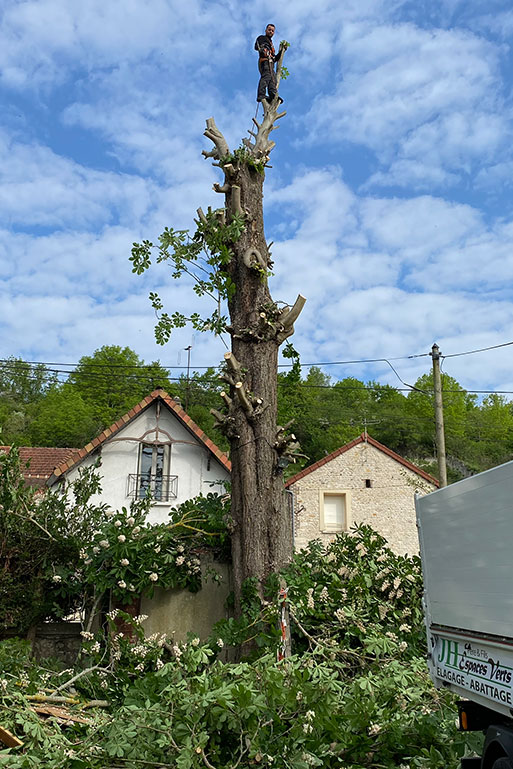  Elagage d’arbres à Limetz-Villez, dans les Yvelines (78) et en Ile de France 