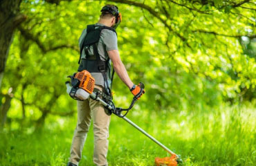 Abattage à  Limetz-Villez  - Jh Espace vert dans les Yvelines